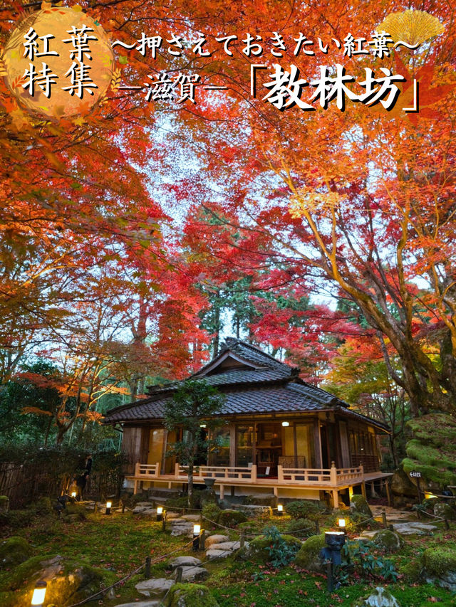 【紅葉特集】一生に一度は行きたい‼️聖徳太子ゆかりの紅葉スポット🍁