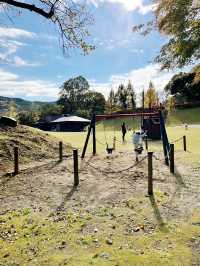 【静岡県/伊豆　紅葉🍁を眺めながら楽しめるキャンプ施設】