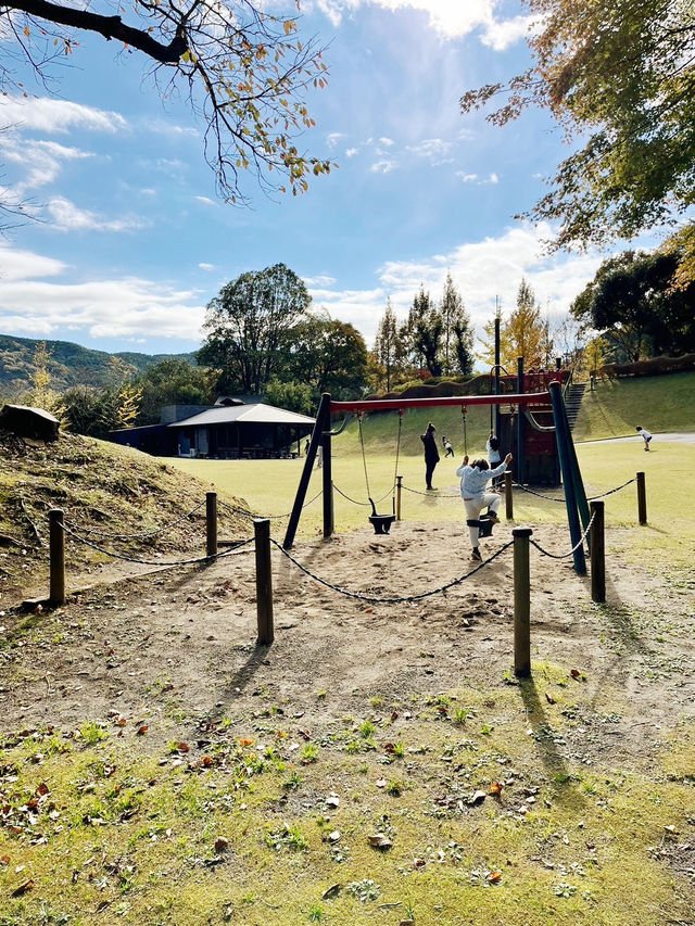 【静岡県/伊豆　紅葉🍁を眺めながら楽しめるキャンプ施設】