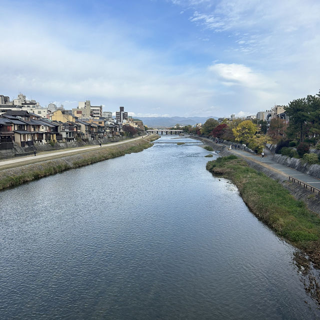 【京都/中京区】朝の先斗町🚶‍♀️