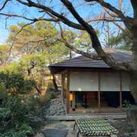 Timeless Elegance: A Luxurious Retreat at Fufu Kyoto