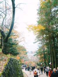 ไปชม เจดีย์แดงชูเรโตะ Chureito Pagoda กันจ้า