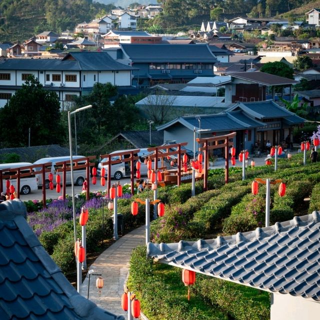 ล่องเรือชมวิว บรรยากาศที่พัก ที่บ้านรักไทย