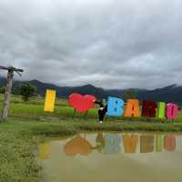 The Kelabit Highlands