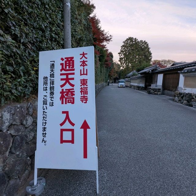 🇯🇵京都「東福寺」市區楓葉🍁頂流，楓葉之王威名當之無愧！