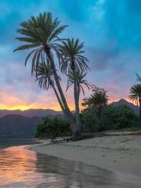 4 Reasons You Need to Visit Oahu ASAP 🌅