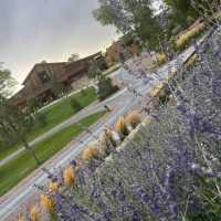 Bishop's Lodge, Santa Fe