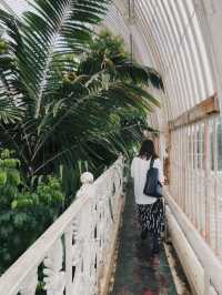 倫敦私藏綠洲 植物迷的天堂Kew Gardens