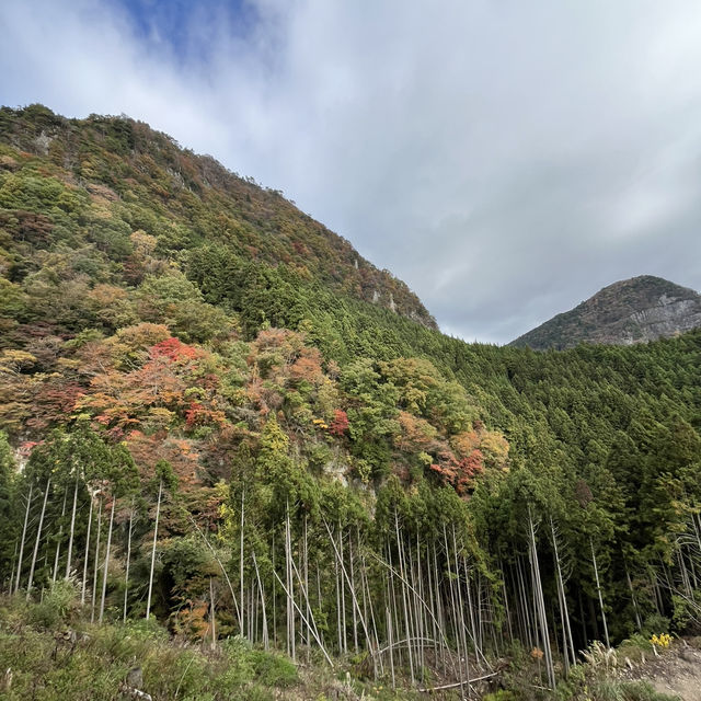 【鎧岳】関西百名山 & 【兜岳】