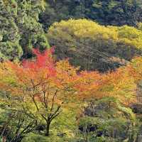 Takachiho Gorge 