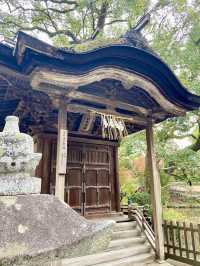 【福岡旅行】大宰府／学問の神様を祀る人気パワースポット