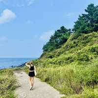 How to hike around Jeju 🇰🇷 🥾 