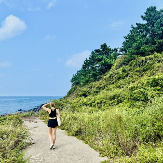 How to hike around Jeju 🇰🇷 🥾 