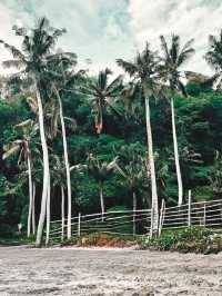 Tropical Bliss Awaits at Nusa Penida’s Crystal Bay