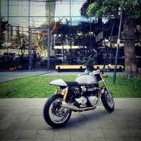 Beautiful cafe