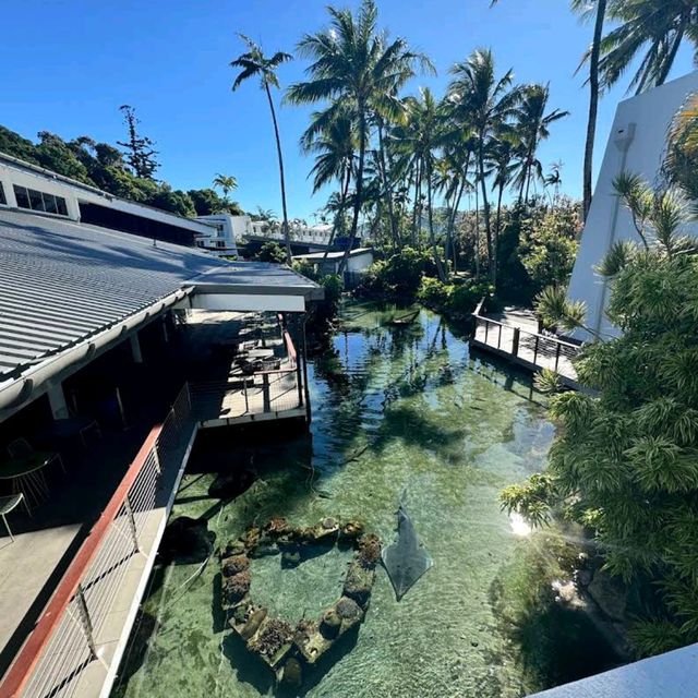 Daydream Island Resort - Whitsundays