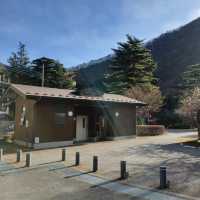 Discover the Tranquil Beauty of Kinugawa Onsen Village
