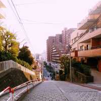 穿越時光的東京之旅：NOZOKI坂與都電荒川線