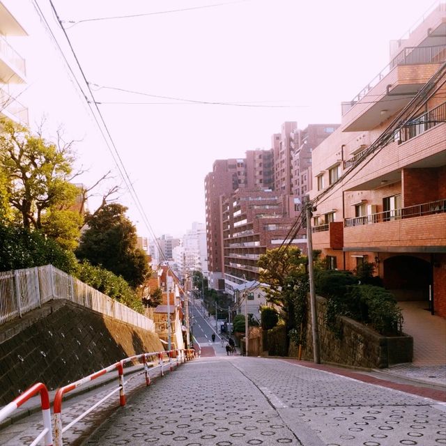 穿越時光的東京之旅：NOZOKI坂與都電荒川線