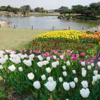 福岡好去處