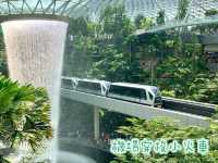 樟宜機場-全球最佳機場之一，超美建築，大量打咭熱點