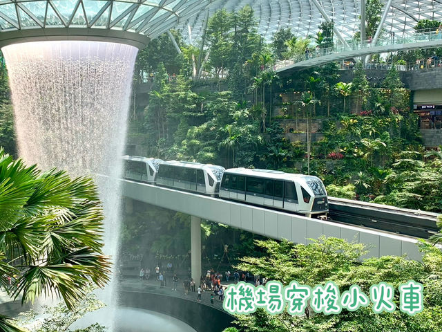 樟宜機場-全球最佳機場之一，超美建築，大量打咭熱點