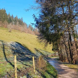 Black Forest (Schwarzwald)
