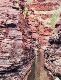 Awe-Inspiring Wilderness: My Adventure in Karijini National Park 