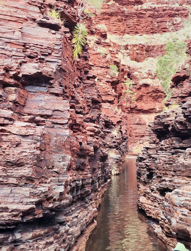 Awe-Inspiring Wilderness: My Adventure in Karijini National Park 