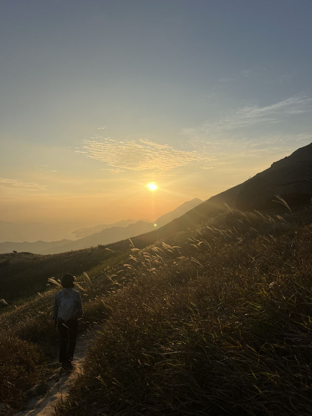 不會令人失望的山峰！