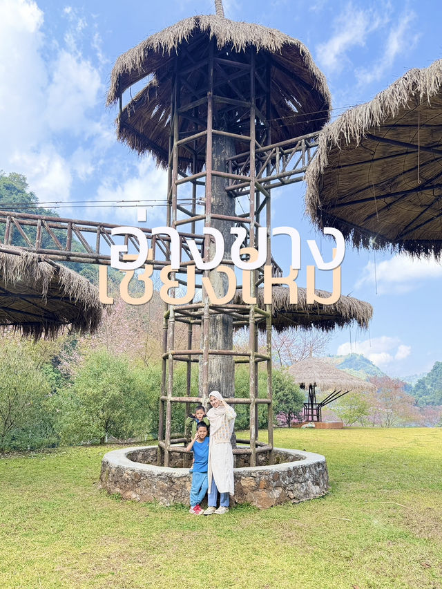 ดอยอ่างขาง จังหวัดเชียงใหม่