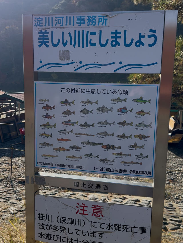 Yakatabune Boat Ride & Oden on a Boat: A Serene Autumn Escape on the Katsura River in Arashimaya