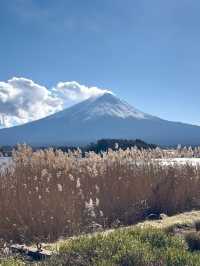Oishi Park: Stunning Views of Mount Fuji Unobstructed