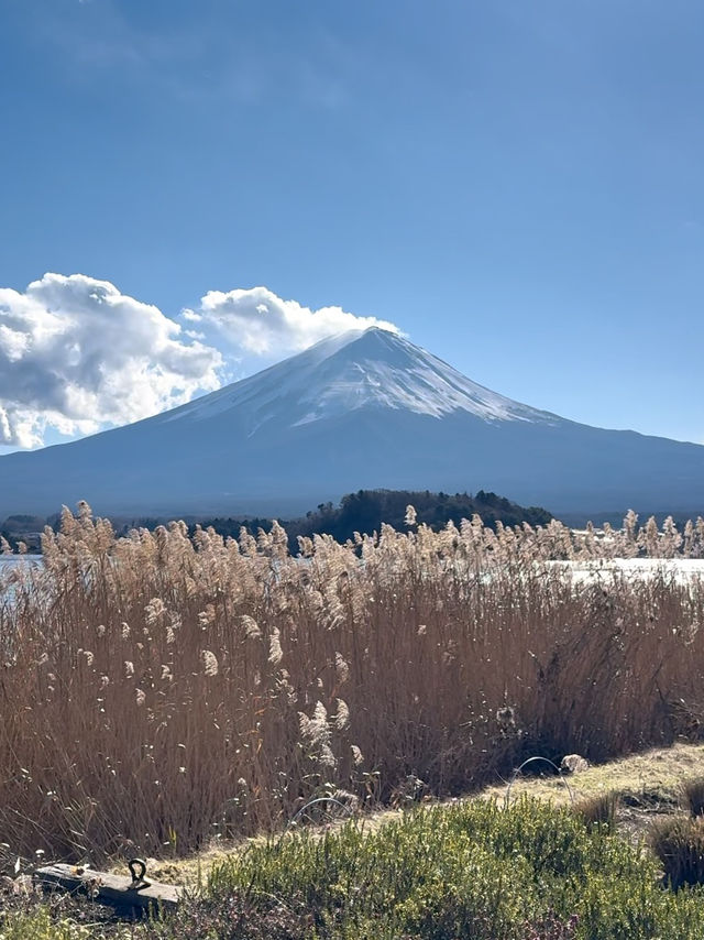 Oishi Park: Stunning Views of Mount Fuji Unobstructed