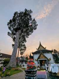 柴迪隆寺，清邁六大佛寺中最崇高、最有人氣的寺廟