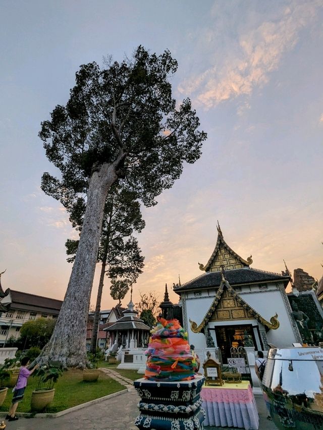 柴迪隆寺，清邁六大佛寺中最崇高、最有人氣的寺廟