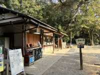 🇯🇵【香川県】広大な庭園！四季折々の花が楽しめる！栗林公園(^^)