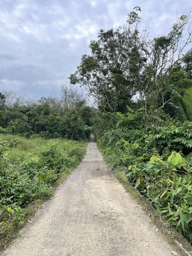 Scenic beauty and natural attractions in Jeli Kelantan 