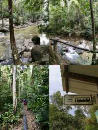 Conquer the Wild: Jungle Trekking at Ulu Bendul Forest Eco-Park