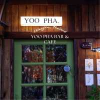 อยู่ป่า -Yoo Pha Bar&Cafe ☕️🌳@CNX, TH