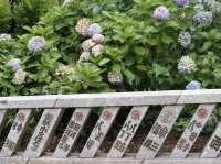 Escape to Nature: A Day Hike to Mount Takao from Tokyo