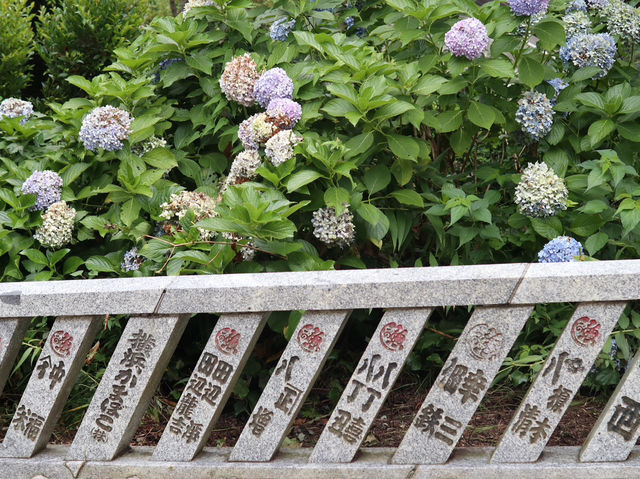 Escape to Nature: A Day Hike to Mount Takao from Tokyo