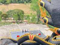 พญานาคมุจลินท์นาคราช วัดถ้ำแสงทิพย์