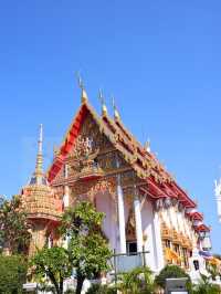 💓 วัดชมภูเวก