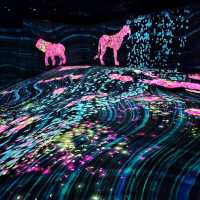 福岡📍 TeamLab Forest