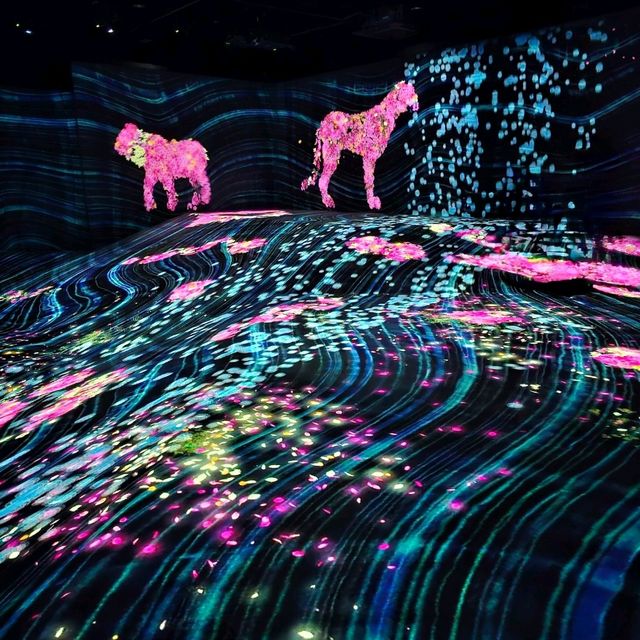 福岡📍 TeamLab Forest