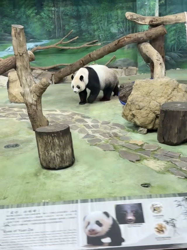 台北｜台北市立動物園