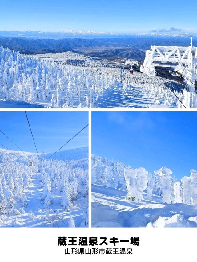 【日本全域】冬ならではの大絶景「日本三大樹氷 3選+α⁡⁡」