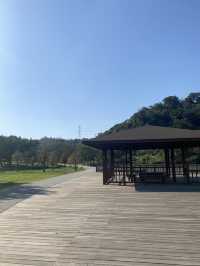 桃園 三坑自然生態公園 🏞️ 自然之景 山明水秀