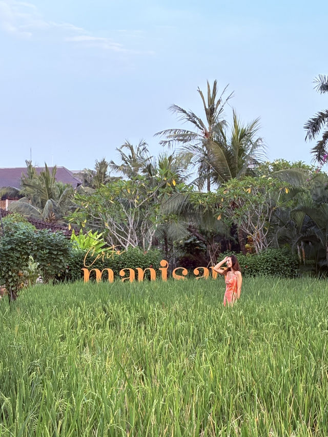 Manisan｜夢幻稻田中的絕美打卡景點